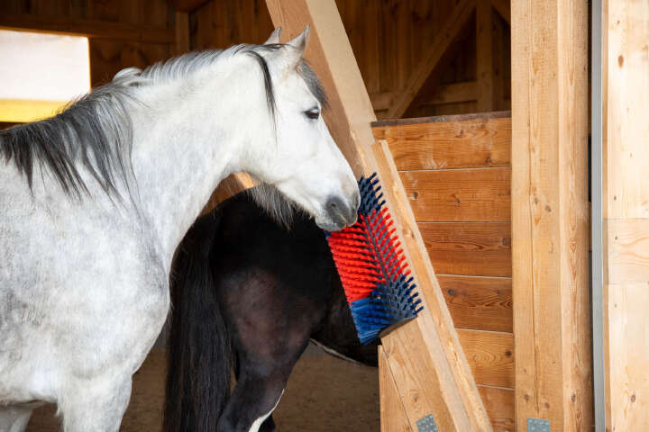 KERBL Kratzbürste XL